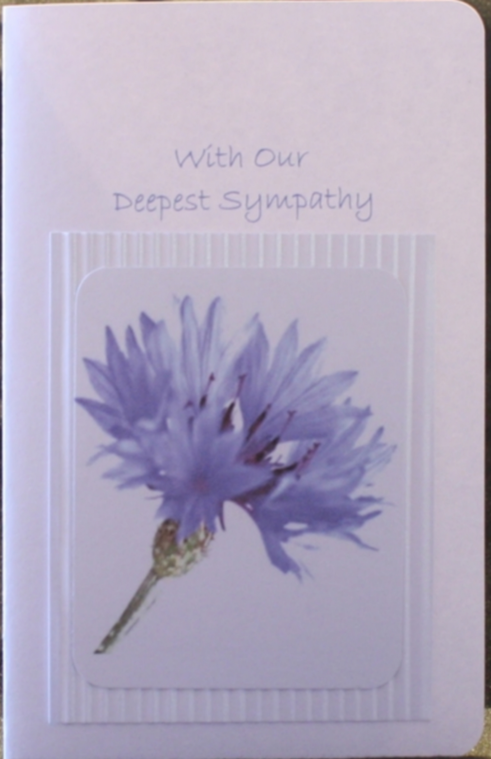 Sympathy4803