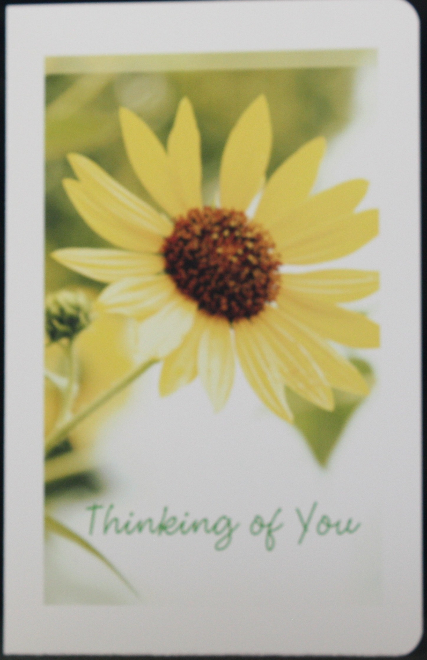 ThinkingOfYouYellowFlower1004